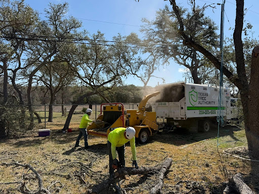 Debris Cleanup in Bulverde, TX
