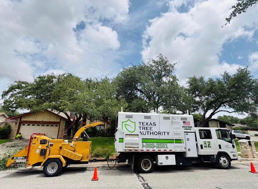 Tree Pruning & Trimming in Boerne, TX