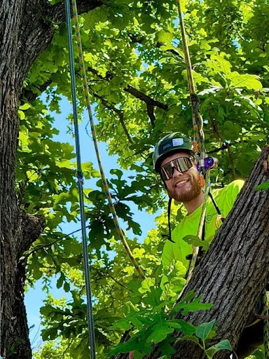 Tree Pruning & Trimming in Comfort, TX