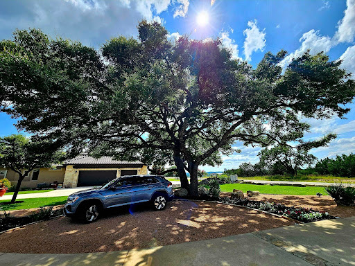 Tree Removal in Kerrville